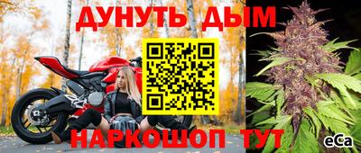 индика Канаш