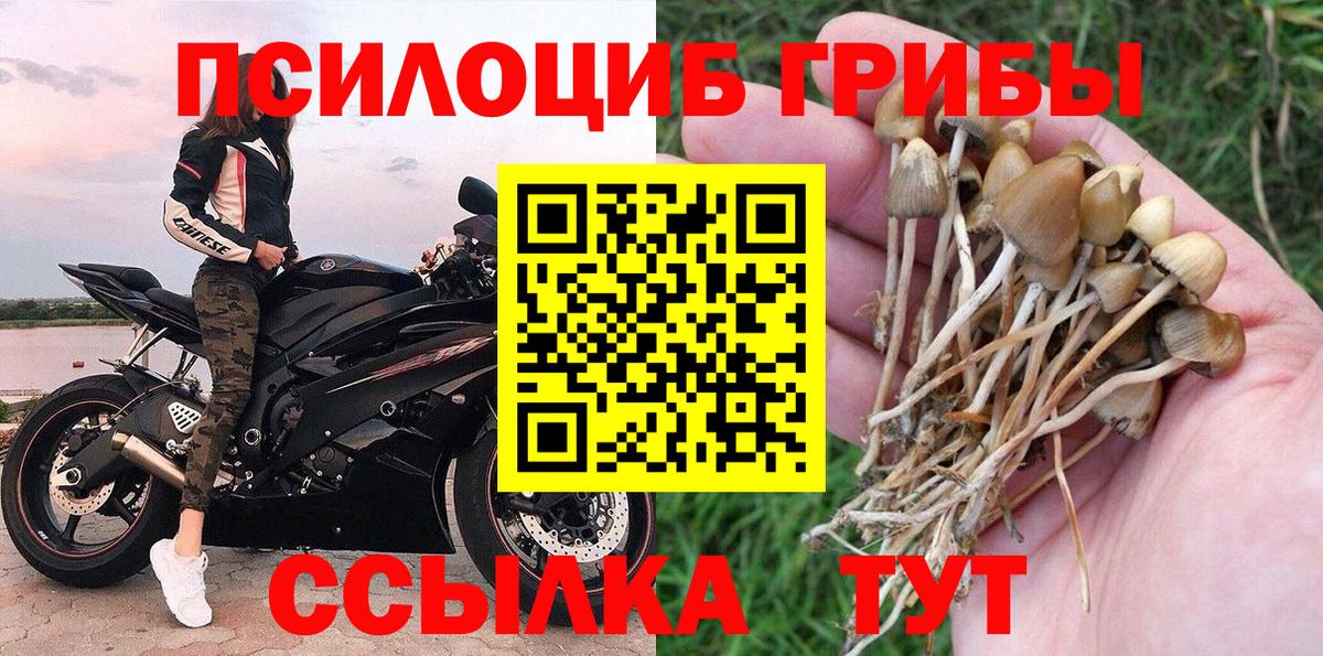 Галлюциногенные грибы GOLDEN TEACHER  Вход с VPN  Коркино 