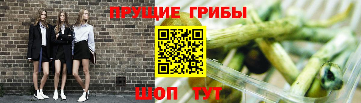 Галлюциногенные грибы Cubensis Коркино